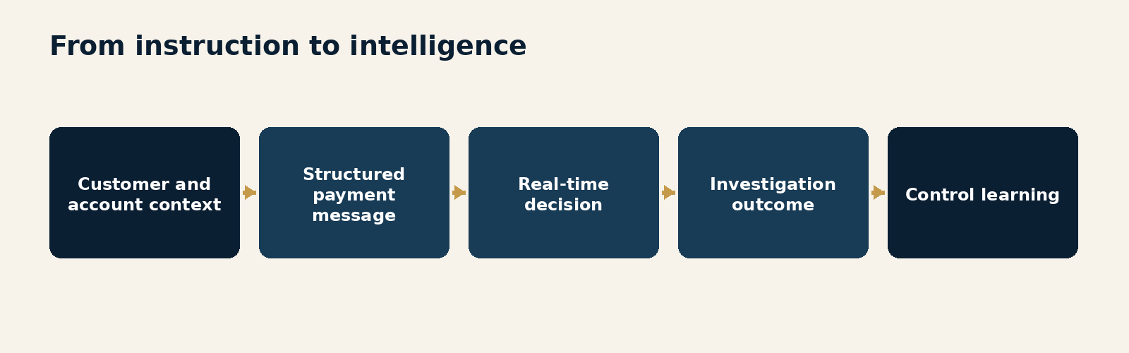 From customer and account context through a structured payment message, real-time decision, investigation outcome and control learning.